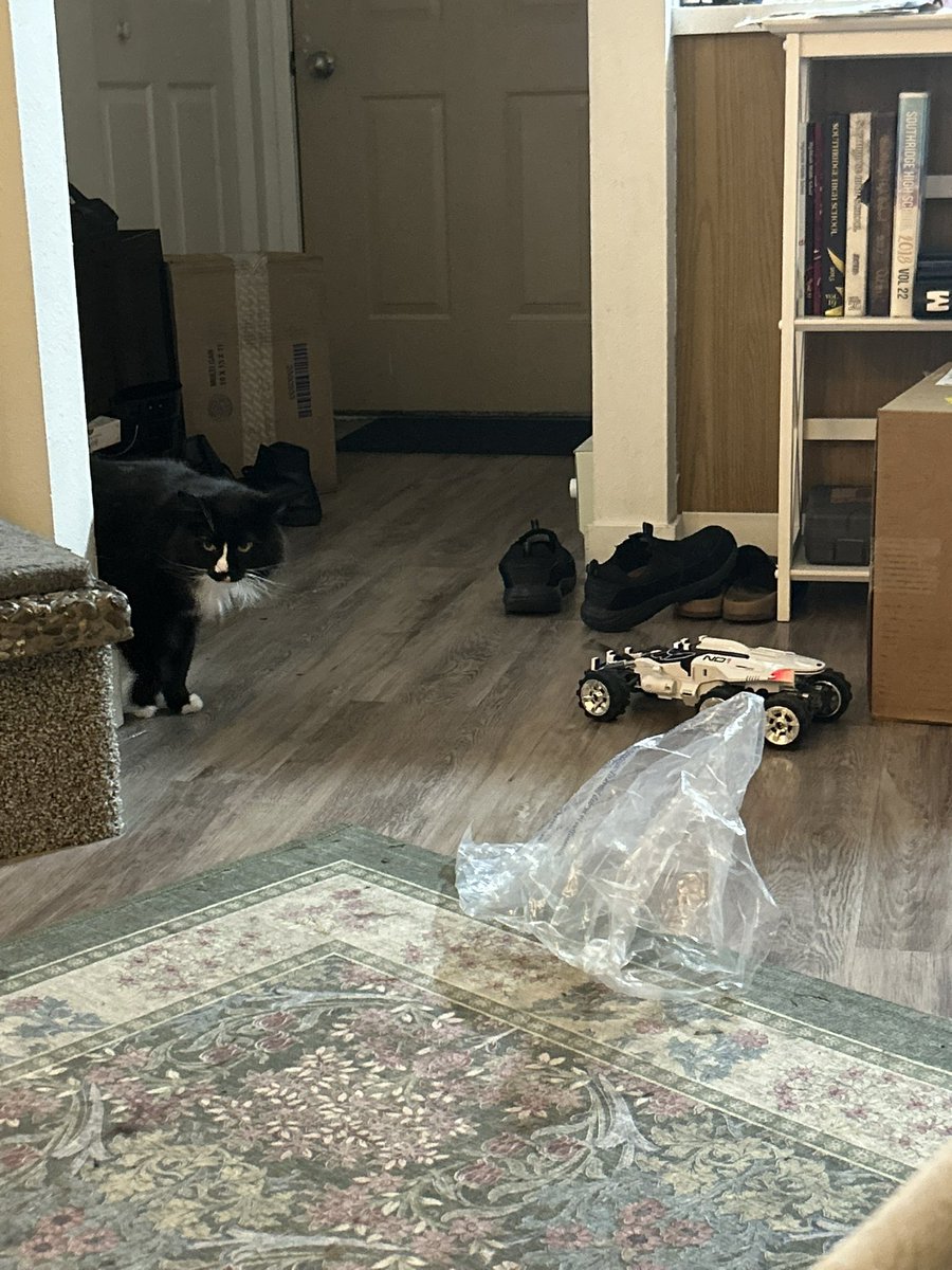 TuskBoi's tweet photo. The Nomad rides again! Ft my cat who doesn't approve https://t.co/2Vt6JxWonl