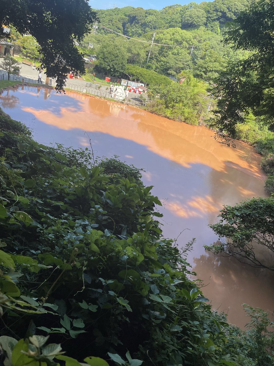 Takuligth000's tweet photo. 血の池地獄♨️雰囲気よし。 https://t.co/t5h5deltwS