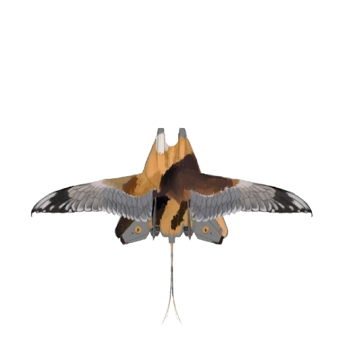 Alritedog's tweet photo. @inevitablethird @bscholl @DeptofWar @LockheedMartin 🛩️
@northropgrumman 
@StavattiAero 
@anduriltech 
@boomsupersonic
Quiet turboprops? Turboshaft?(lol)
Delay elsewhere?
≥50hp 50,000ft par.
2 tons fuel ≈ 24hrs
Mufflered duct fans?
Do defense/carriers require stealth‽
Prolonged maintenance intervals are key.
But how will it go? https://t.co/CZ1WOY5D8z