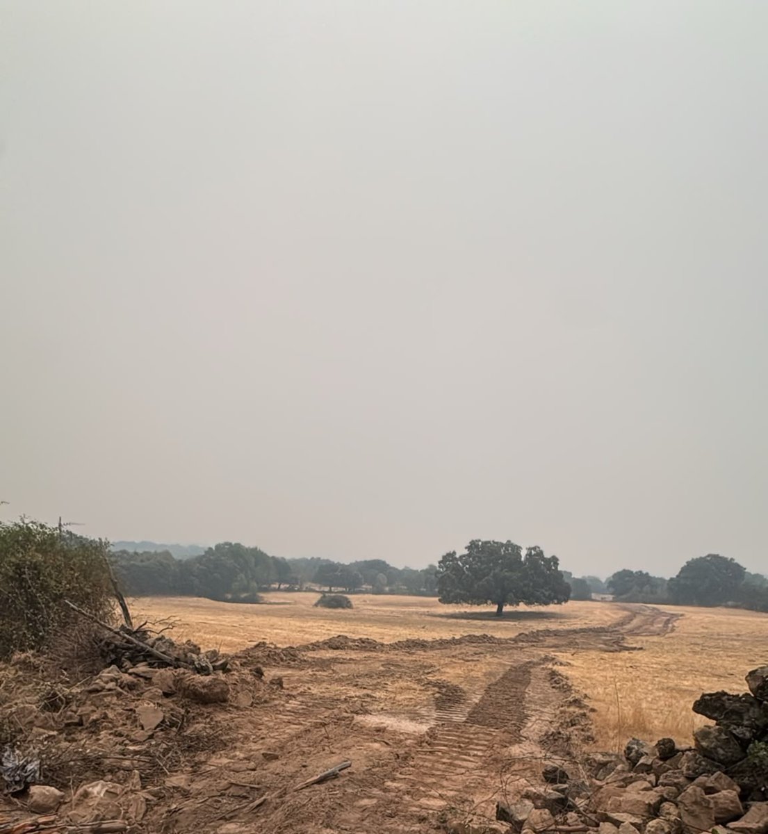 Meteoavila2's tweet photo. ⏰08:10h 🔥 #IFBurgohondo
📸 Imágenes actuales desde La Iglesuela del Tietar. Muchísimo en toda la zona y nula visibilidad debido a inversión térmica. Veremos cómo se comporta el fuego cuando se rompa está inversión. #Ávila 

❓¿Qué es la inversión térmica en un incendio forestal?

La inversión térmica es una situación en la que el aire frío queda atrapado cerca del suelo y el aire más cálido se sitúa por encima. Esto hace que el humo permanezca bajo y que el incendio, en muchos casos, muestre un comportamiento menos intenso durante la noche y primeras horas de la mañana.

⚠️ ¿Qué ocurre cuando se rompe?

Cuando el sol calienta el terreno y la inversión térmica desaparece, el humo empieza a elevarse y el incendio puede reactivarse rápidamente. Es habitual que aumenten la intensidad de las llamas, la velocidad de propagación y la formación de columnas de humo más desarrolladas.

Por eso, la ruptura de la inversión térmica es uno de los momentos que más vigilan los equipos de extinción.