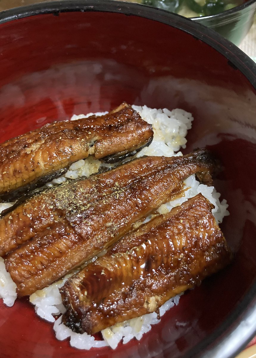 shi_mouse's tweet photo. 土用の丑の日ということで、浜名湖産うなぎをちょこっと食べて原稿がんばります。 https://t.co/Y2GmjP0aWJ