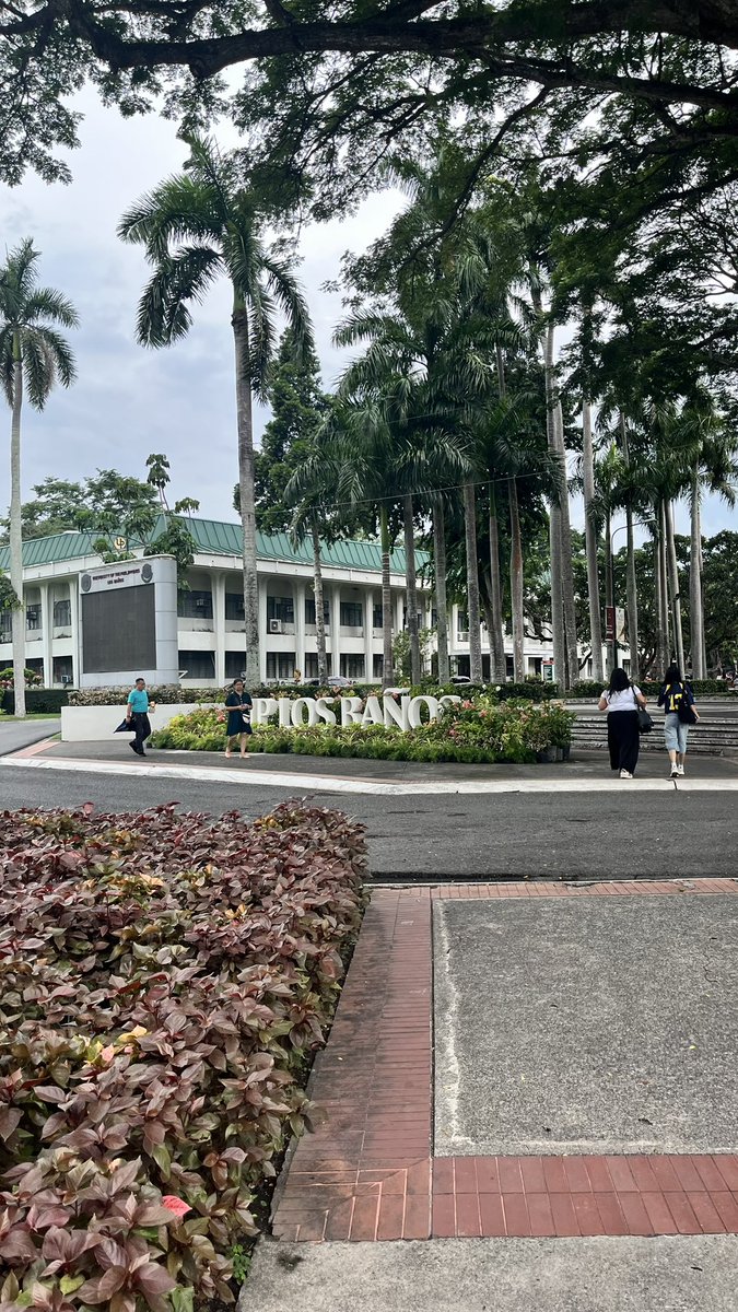 _kai0525's tweet photo. Tambay ng UPLB??
Tara tara??
#alterlaguna #alterlosbaños #alterlb #alterelbi #alter #armpit #armpitfetish https://t.co/xkn8tWCpfw