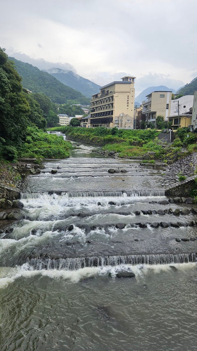 daimao_bon's tweet photo. 温泉からの大雨からのとうふシェイク🥤 https://t.co/NCrVxmB2vc