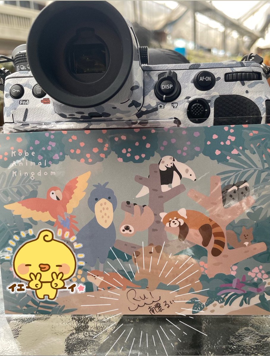 rex_grs1219's tweet photo. 今日はマルネコ撮りにこべどに来たら
南雲るいさんにお会いする事ができ
サイン✍️と記念撮影📸✨
夏休みのいい思い出になりました！
ありがとうございました😊 https://t.co/SrOCJi6cPA
