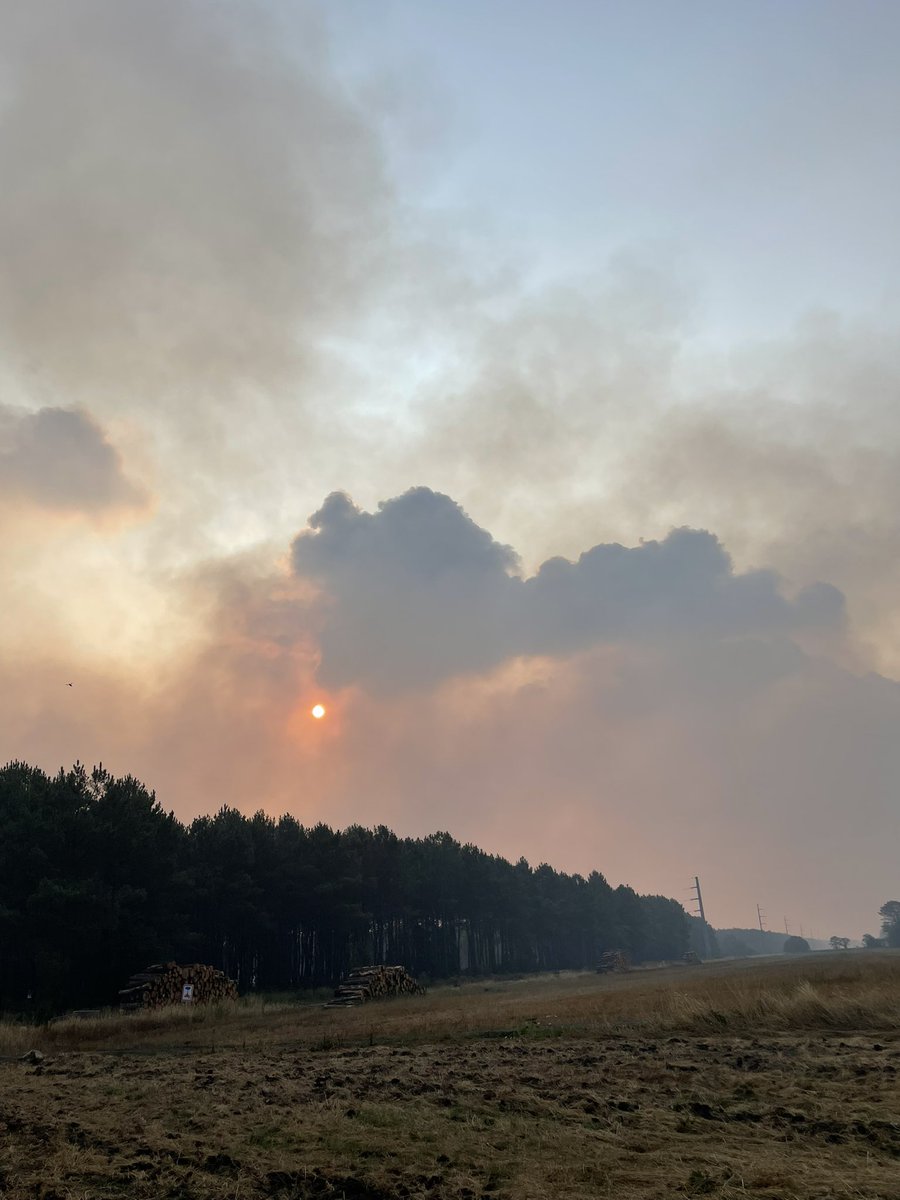 fssllo's tweet photo. Aux abords des incendies de #gironde des dizaines d’agriculteurs viennent prêter main forte aux pompiers avec leurs tonnes à eau. Ils en appellent aux autorités, leurs tracteurs commencent à manquer de carburant. #incendies.@France24_fr https://t.co/aFUxbyXYaN