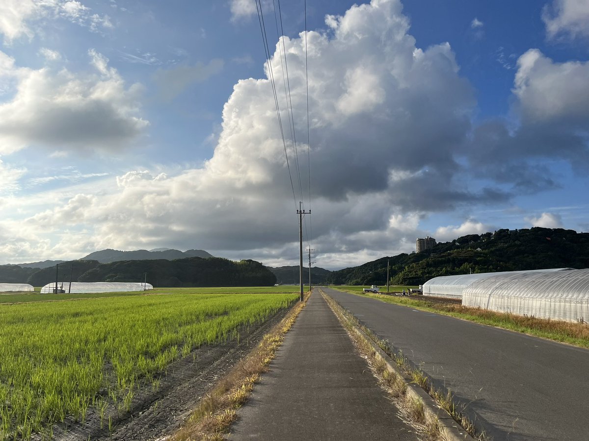 adobesystem's tweet photo. #糸島　田舎なのでどこまでいっても農道と草原道
そして日よけなし。
今日は若干曇ってて走りやすい。
#朝ジョギング　＃田舎道 https://t.co/TXIHEfTf0A