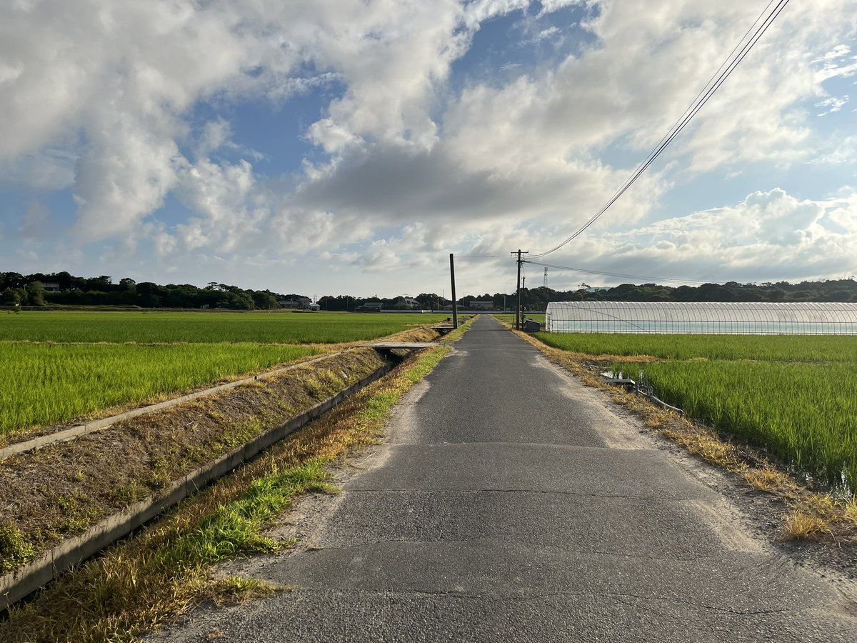 adobesystem's tweet photo. #糸島　田舎なのでどこまでいっても農道と草原道
そして日よけなし。
今日は若干曇ってて走りやすい。
#朝ジョギング　＃田舎道 https://t.co/TXIHEfTf0A