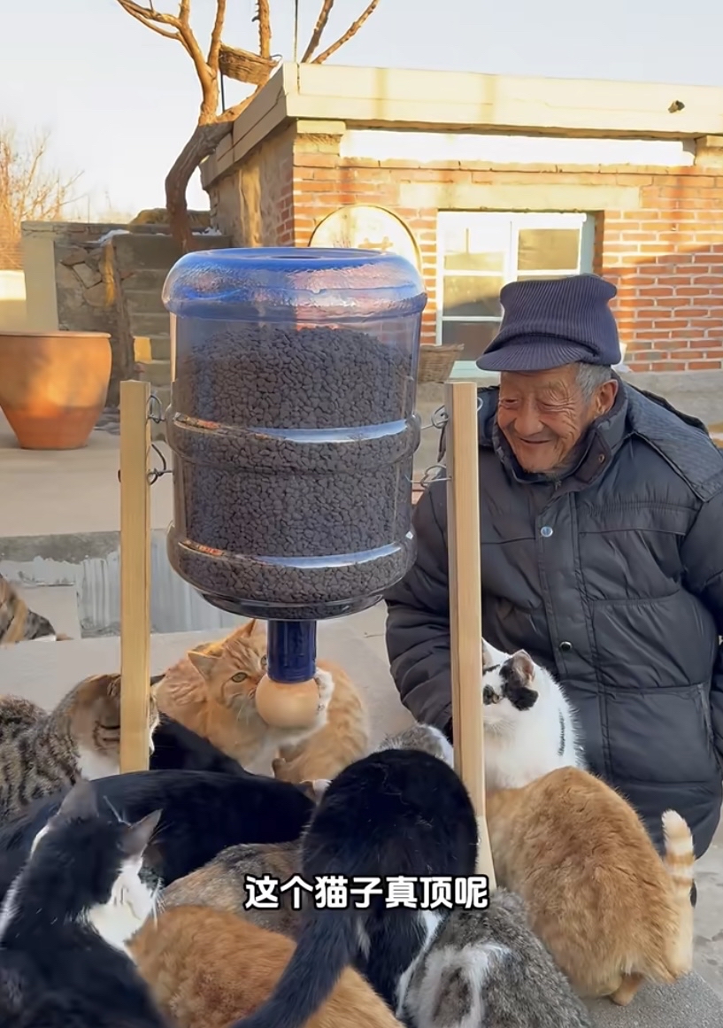 JuniorCeli7fez's tweet photo. 从“下班躺平刷视频”到“每天抽20分钟陪楼下流浪猫吃饭”，生活里的小细碎，凑成了踏实的暖意， https://t.co/4yUxZIWboE