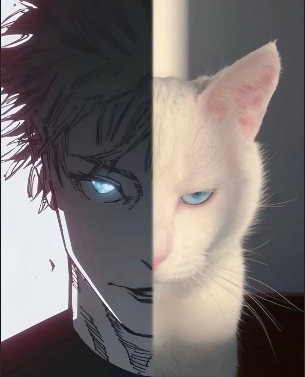 anime_shots's tweet photo. The Strongest https://t.co/La8yeYaxls