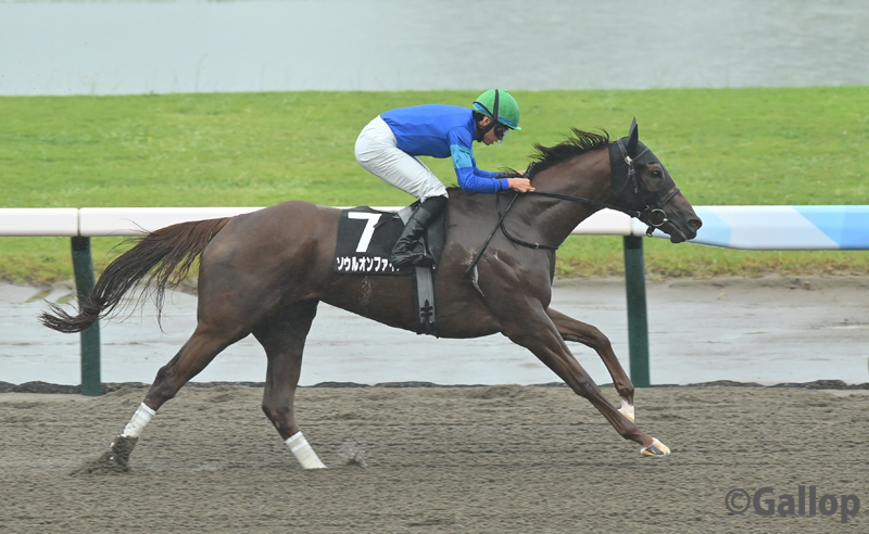馬場 約3時間の休憩が明けた新潟競馬場です。大雨が降り、芝ダートともに