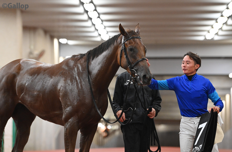 馬場 約3時間の休憩が明けた新潟競馬場です。大雨が降り、芝ダートともに