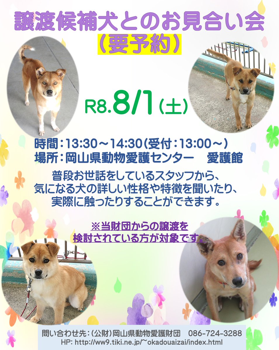aigozaidan's tweet photo. 譲渡候補犬とのお見合い会(参加は要予約)のご案内

8月1日(土)13:30～、岡山県動物愛護センターにて譲渡候補犬とのお見合い会を開催します。
スタッフから気になる犬の詳しい性格や特徴を聞いたり、実際に触ったりできます。
お問合せや講習会等のご予約等は当財団HPへ。

https://t.co/W521OTdocf https://t.co/SvrQrVLdyH