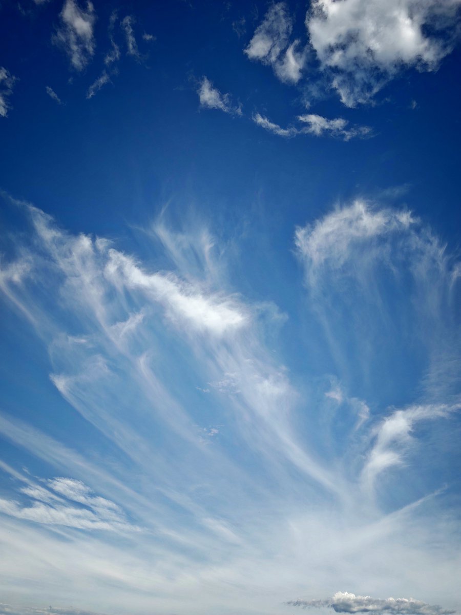 PhotoNikArt's tweet photo. GMs. May your day be as light as these clouds ✨
#Simbiosis #Web3 #CloudArt
#NaturePhotography https://t.co/hRwGRi8067