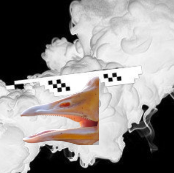 Van Goose (Not a contamination) tweet media