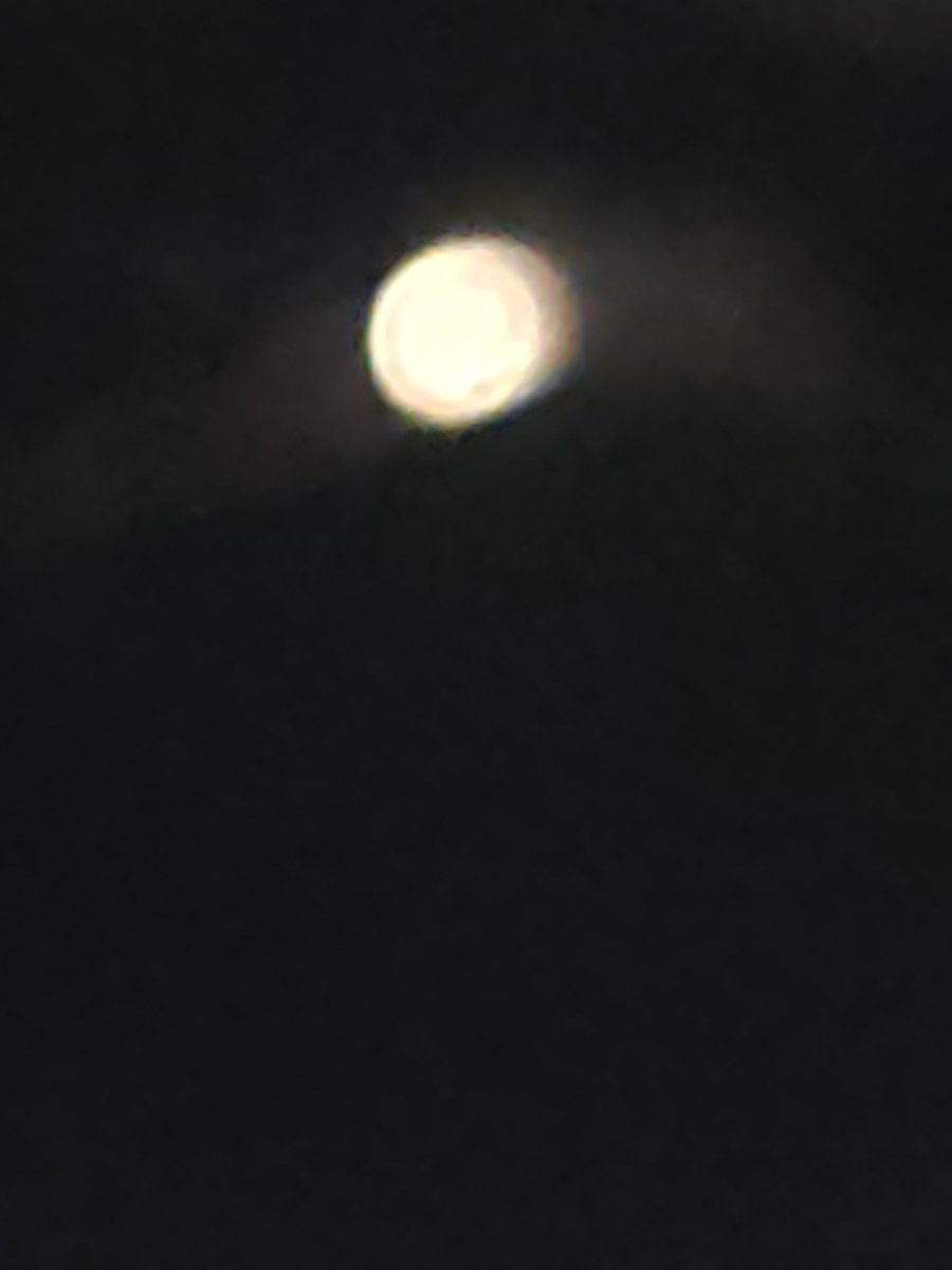 morsignotae's tweet photo. moon https://t.co/MJvFpSsg1t