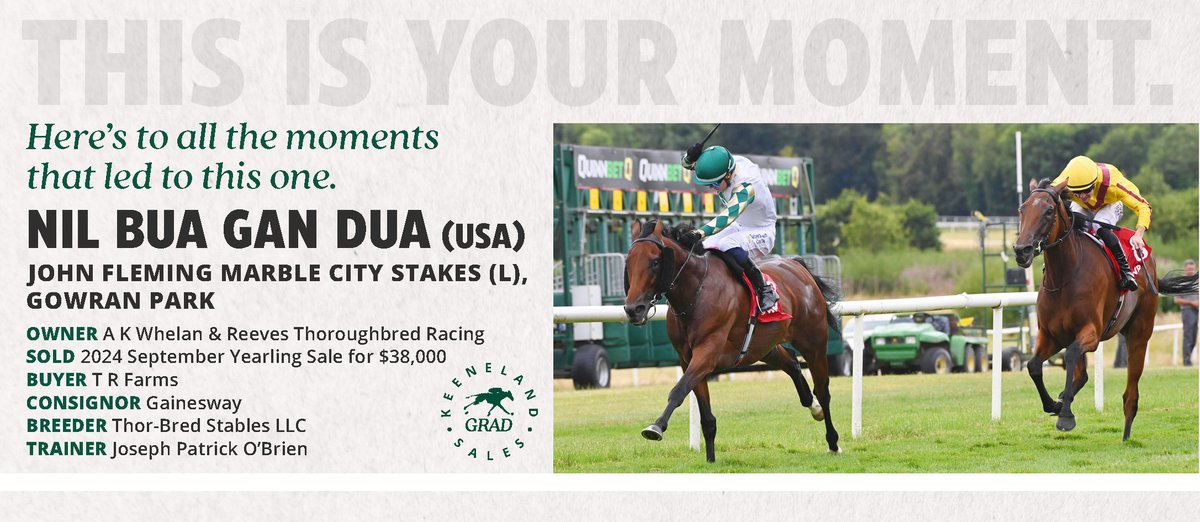 bloodstocknews tweet picture