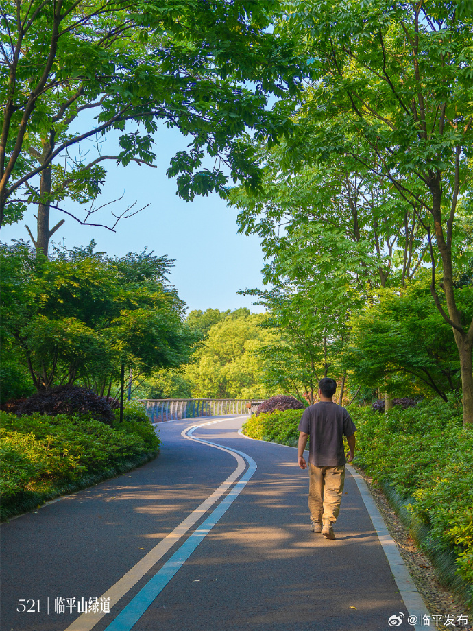 JordanStern17's tweet photo. Small daily moves count! Take a 10-minute walk after meals to boost digestion u0026 keep your metabolism steady—small steps lead to big health wins. https://t.co/72Q4efxlE8