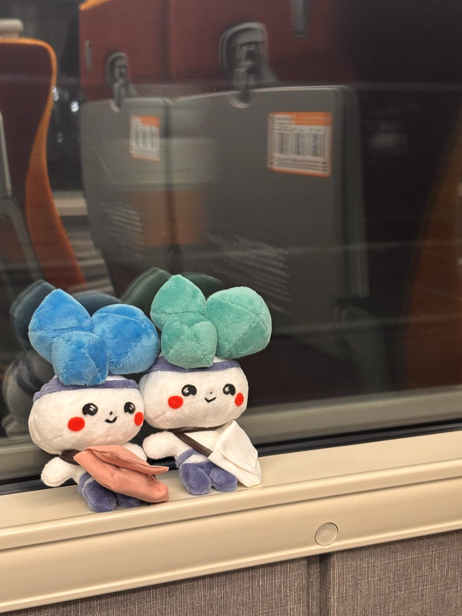 unkojima's tweet photo. まつげちゃんと岐阜へ石拾い行ってきましたー！トラブルもあったけど、全部上手くいきました✌️大人になってもこういう遊びをしてくれる友人に感謝やね✨

帰ってきて早々、夜行バスなら2万くらいあれば行けるし秋に行こうかなって考えてしまう私w https://t.co/JvpHcAxkVy