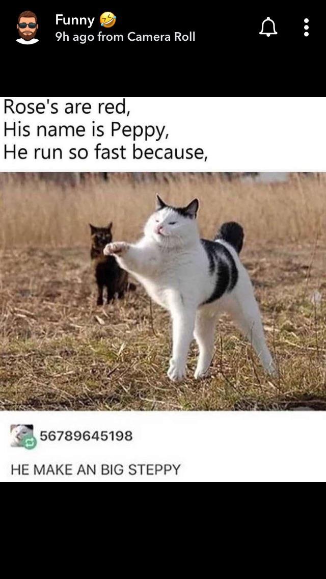 midnightpullsjp's tweet photo. GM GM! I know a lot of you are tired of Pikachu right now but this one is special! 

I present to you:

"Big Steppy Pikachu". 

(Added the meme for those unfamiliar with it) https://t.co/2sznyOlX0V
