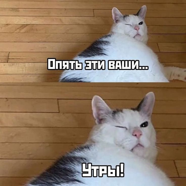 __Climber__'s tweet photo. @advocate_ru https://t.co/LQJRbBXmay