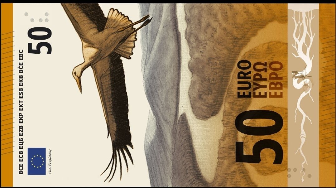 Annagiulie's tweet photo. Volatili raffigurati sulle banconote a simboleggiare il fatto che di soldi non ne vedremo più. Giusto #BCE?! Rebus risolto. 🤣 https://t.co/ICTQUhKJ6N