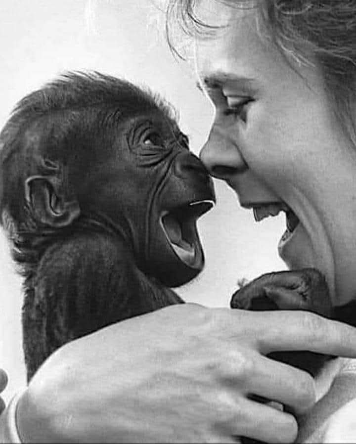 CuoreIschitano's tweet photo. Gli animali ti salvano la vita...
Sentono il tuo dolore, lo toccano, lo leccano, lo attenuano...
Lo trasformano in un sorriso di tenerezza che in quei pochi secondi ti salva...
Sono ciò che più si avvicina agli angeli...❤

Gabriella Dimastrodonato https://t.co/Pn4Z1sA2x7