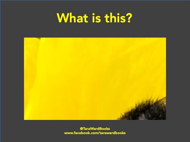 TaraWardBooks's tweet photo. Your #SundayQuiz! There are two objects to guess today: good luck! #SundayFunday #PictureChallenge #PhotoChallenge #HaveAGo ... https://t.co/PNQ0ZBWQNh