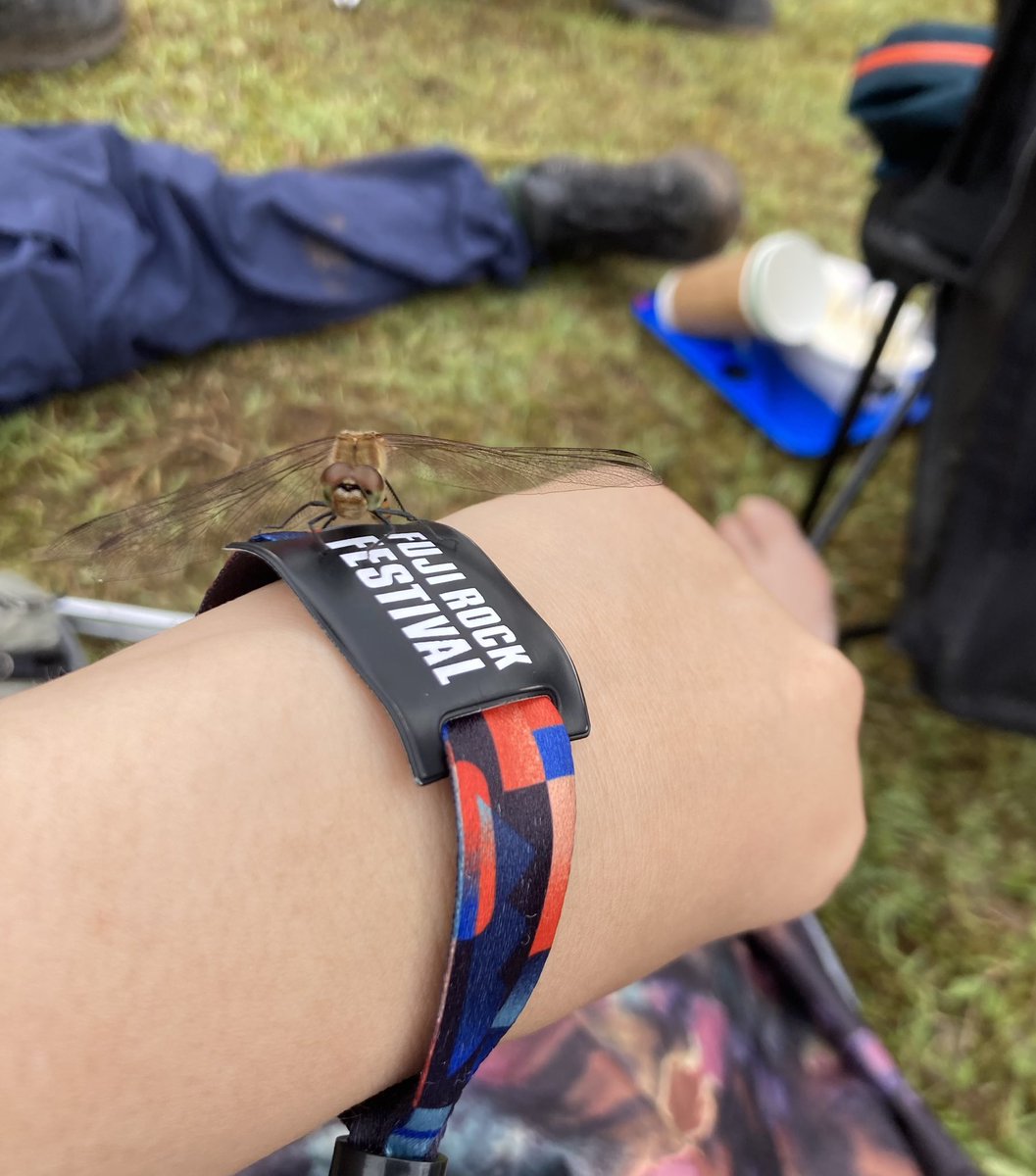 coguma777's tweet photo. 半年ぶりのkneecap！
トンボダブルで来た🎵
３日目も頑張る　#フジロック https://t.co/GuALDCZ3Lu