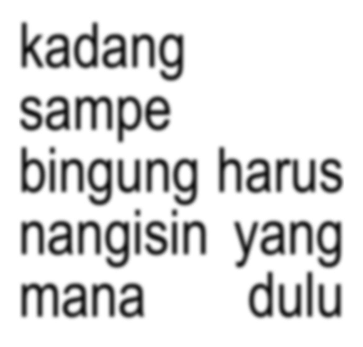 rumi tweet media