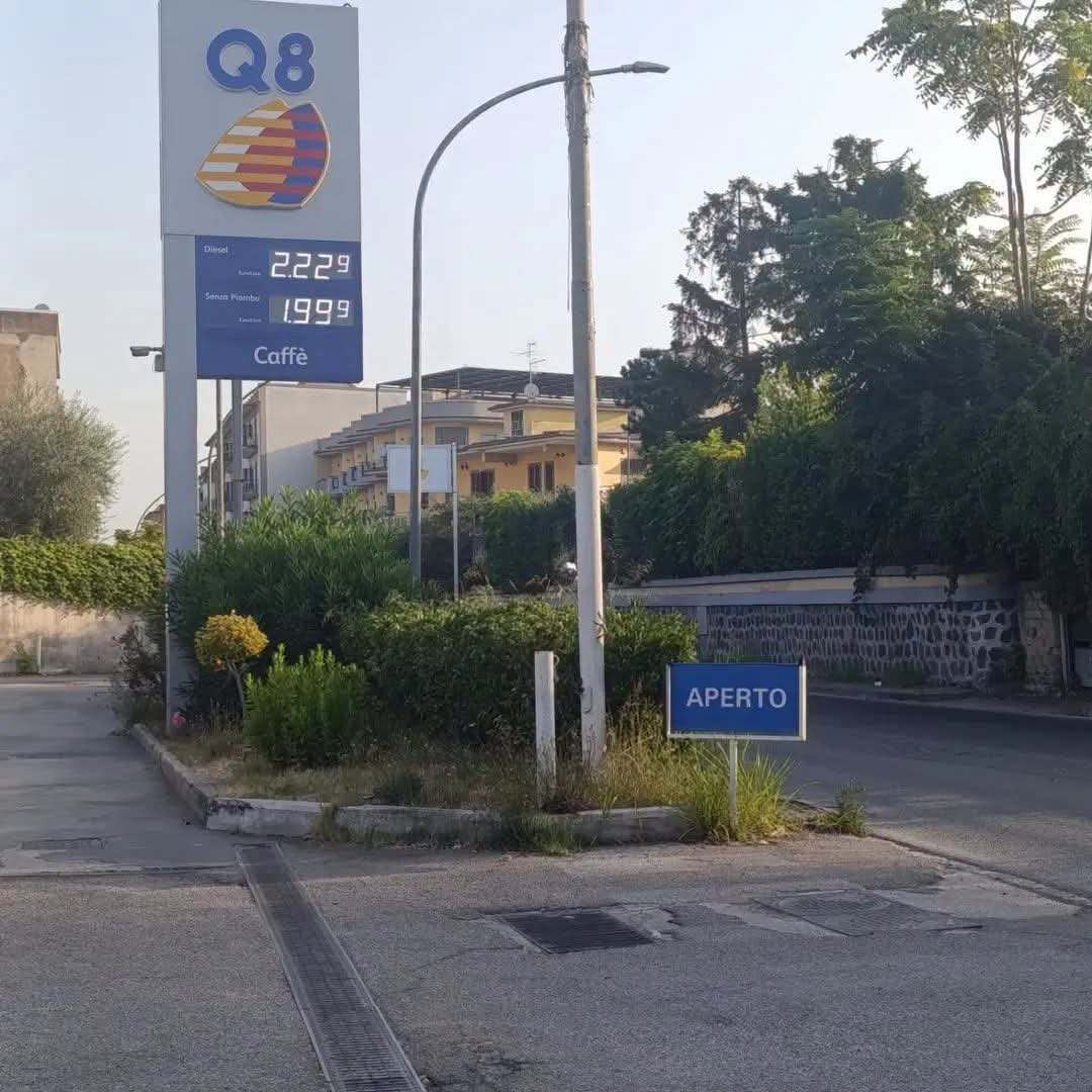 Paolo Amorico tweet media