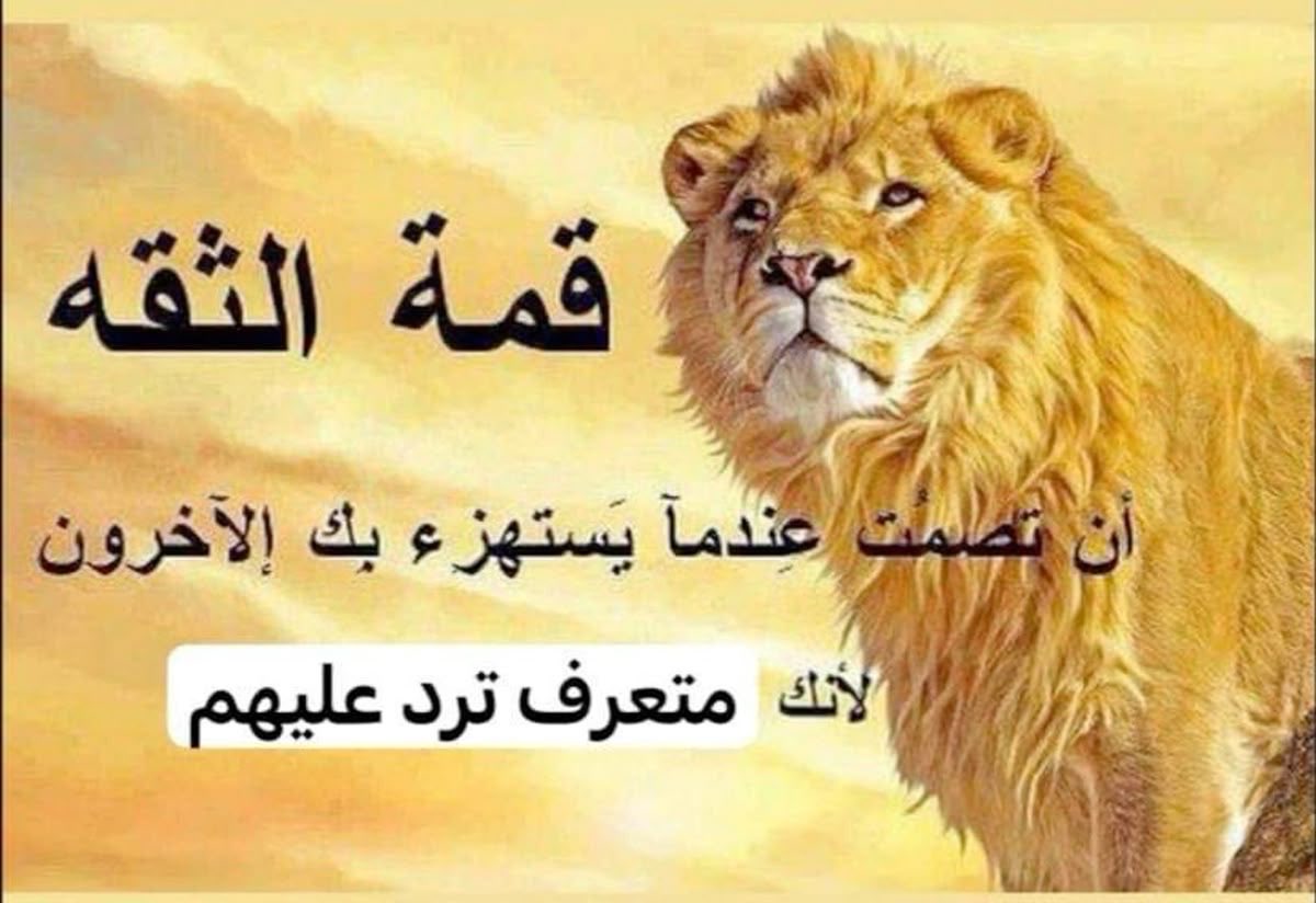 Reema 👩💻 tweet media