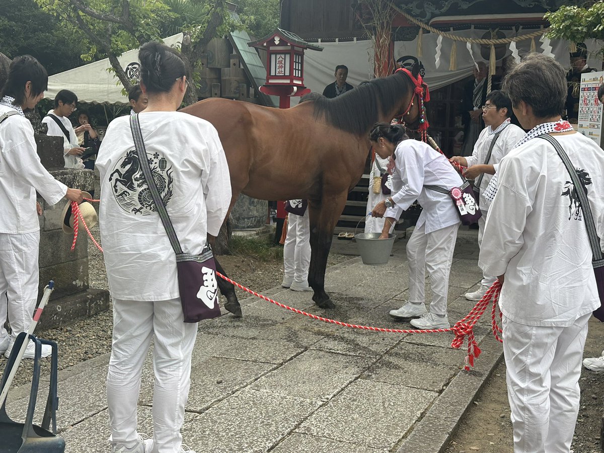 斎主「馬洗いの儀」 牧場関係者「お水で清めますよー」 🫏「やーん