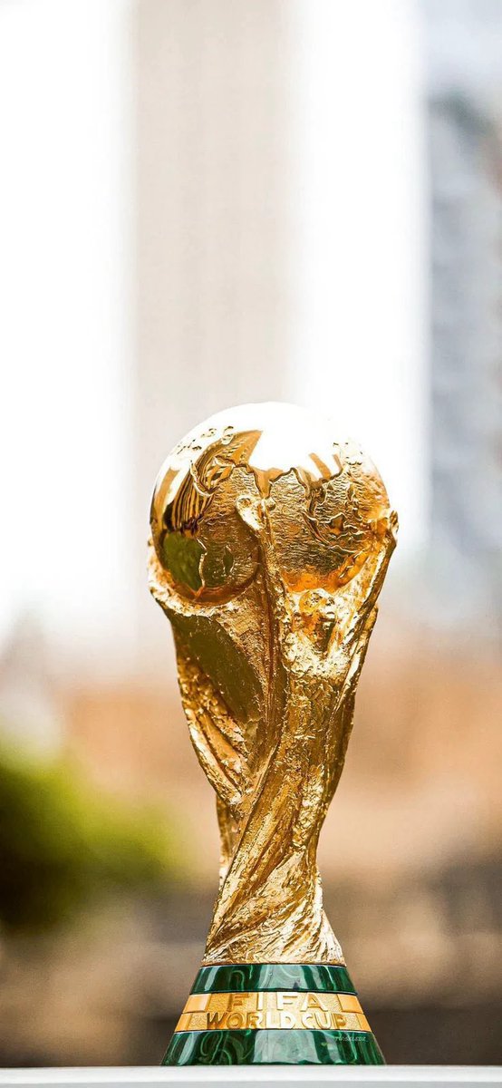 lynxchizzy's tweet photo. FIFA World Cup https://t.co/fz83ea3eau