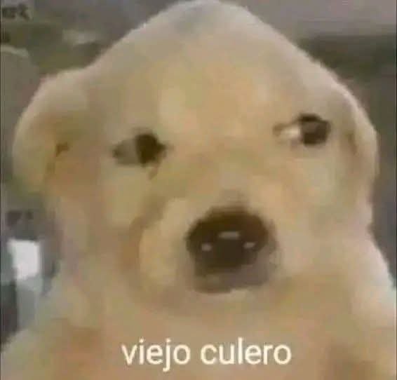 FBog567's tweet photo. Mi Twitter se lleno de esas imágenes con filtro y tenés que mantener presionado 
#magia https://t.co/noPo2uGE3D