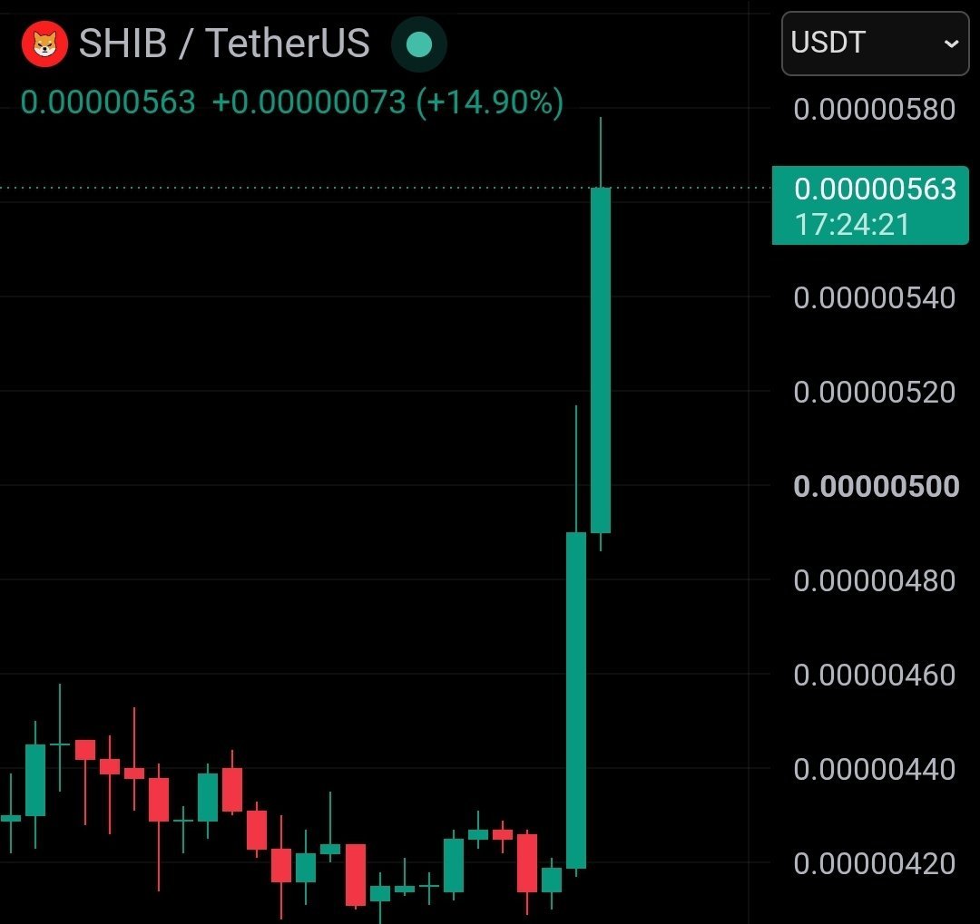 ShibaInformer's tweet photo. $SHIB 35% PUMP 📈 https://t.co/Hpuu76GAex