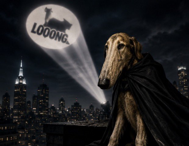 bandozzscalez's tweet photo. We needed a hero. We got LOOOONG https://t.co/7OFHF9Gtnc