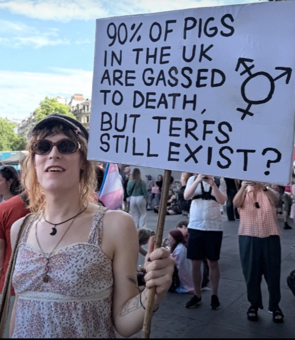 Psychgirl211's tweet photo. @MayorofLondon 

Will you condemn this man and his sign?

Asking as a Londoner. https://t.co/IvgyG5TxCU