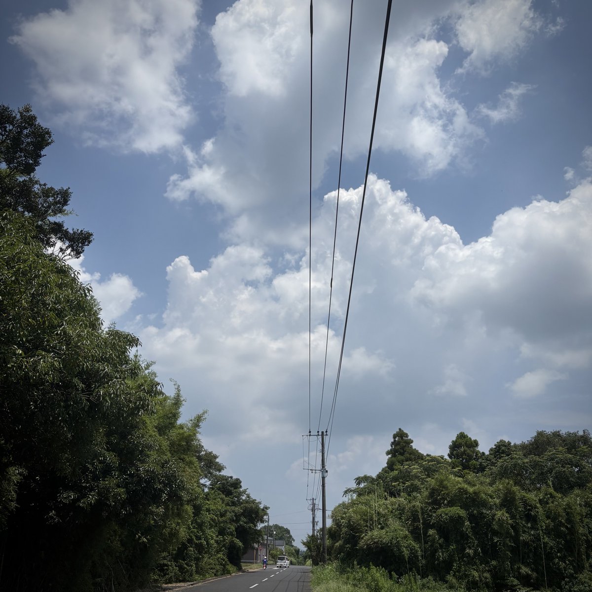 ken_sudek88's tweet photo. Daily scenery
#countryside #simplelife #bluesky #everydaysky #scenery https://t.co/jcuQZqSyFY