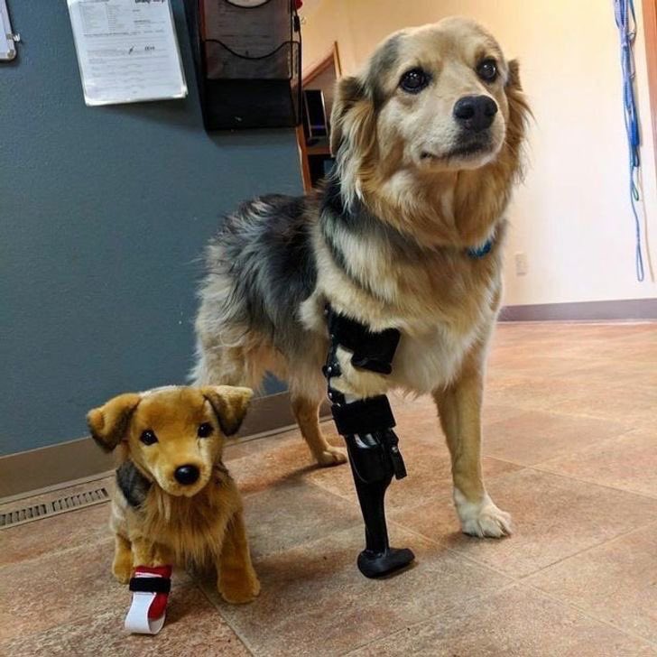 twaniimals's tweet photo. https://t.co/dZld5kXkMa