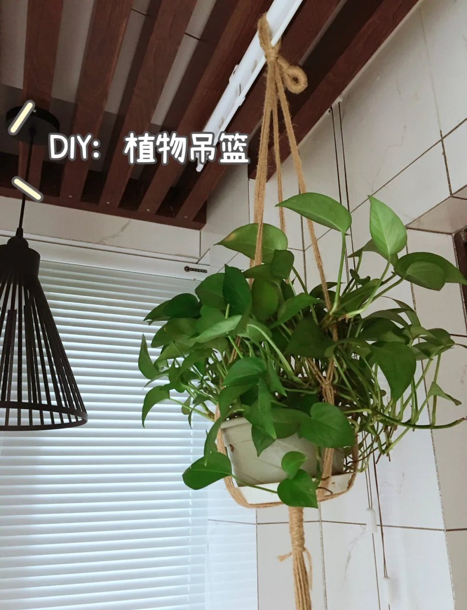 hlavytska's tweet photo. Just finished a macramé plant hanger from scrap cotton cord! Super satisfying upcycling project  Save coins and repurpose old stuff—DIY wins!， https://t.co/K9K7NTBxNw