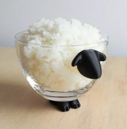 _littlethicket's tweet photo. sheep rice bowl https://t.co/NRi1ebLDqh
