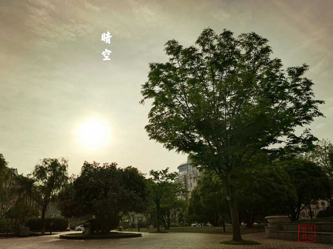 RolandeWeiwev3's tweet photo. 今日完成打卡式短途出行，风里藏着街角小店的肉桂香，来回12公里的快乐比奶茶更实在~， https://t.co/FPR4qOVuHN
