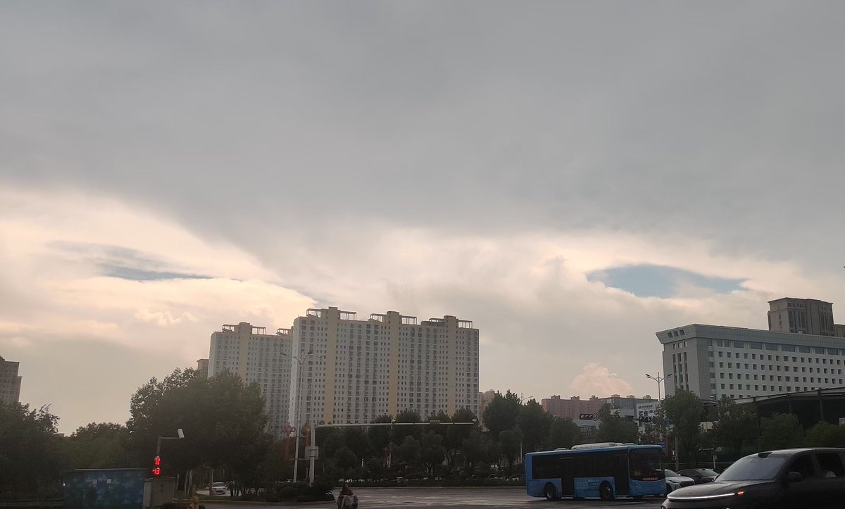 MarkShusheng's tweet photo. 太美啦！这是什么？ https://t.co/ie4rAObxam