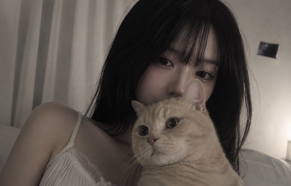 k_eaui's tweet photo. 고양이 키우고 싶다아.. (｡•́⌓•̀｡)

ฅ^•ﻌ•^ฅ 완젼 기여울꺼가태.. https://t.co/GawFaryNqJ