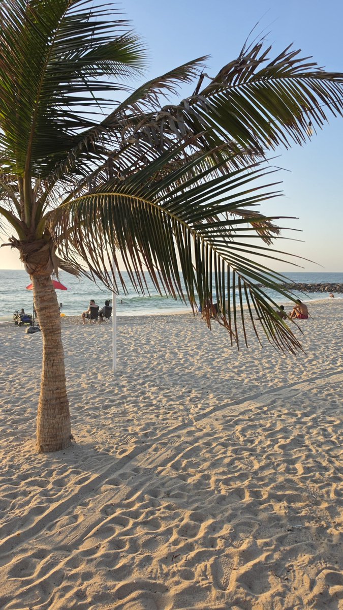 Rashid__7788's tweet photo. @3lvnn_ Al Hamriyah Beach https://t.co/ivBz3XYvOd