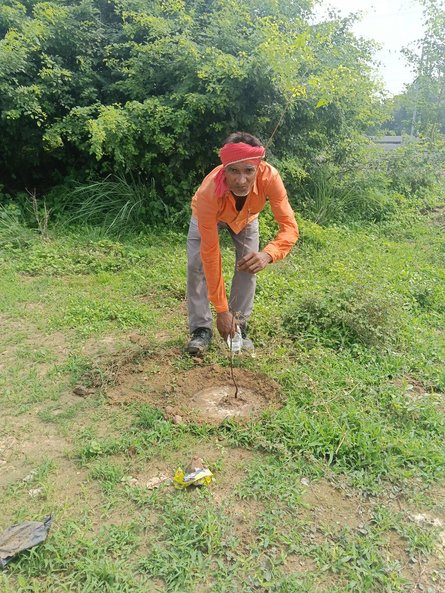 sanjeev9793's tweet photo. @drmprayagrajnc #savethetree @CMOfficeUP Karchhana Railway, Karchhana रेलवे स्टेशन के निकट रेलवे कर्मचारियों द्वारा वृक्षारोपण किया गया। https://t.co/d8c6xfAe9F