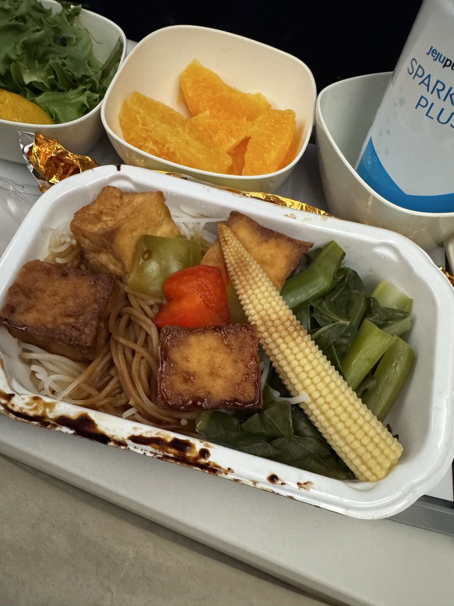 kvegan_jee's tweet photo. Korean Air in-flight vegan meal 🌱
Rice noodles with tofu and veggies. I need at least two of these please 😆 https://t.co/A90hnLC9CN