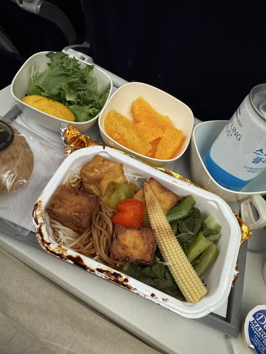 kvegan_jee's tweet photo. Korean Air in-flight vegan meal 🌱
Rice noodles with tofu and veggies. I need at least two of these please 😆 https://t.co/A90hnLC9CN