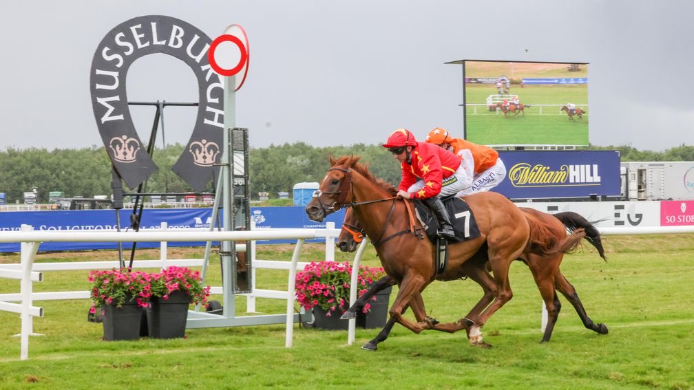 TutuDataAnalyst's tweet photo. 🐎 Tutu Data Analyst's Top Selections 📊
Today's top selections curated by Tutu Data Analyst:
1. 15:30 Pontefract - #7 Bradbury
2. 16:00 Pontefract - #6 Mostar Dreams
3. 17:00 Pontefract - #2 Bullington Bry
Good luck! 🎯
#TutuDataAnalyst #HorseRacing #RacingTips #AtTheRaces https://t.co/ApnCgOk8q4