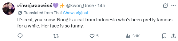 StillxTrades's tweet photo. There is no real proof of Chispa being the cats name the closest we got is this comment saying the name is "Nong"

Running this viral meme that is funny dev wont pay dex on other one 

getting dex at 15k

https://t.co/fe64CBNlqs https://t.co/L3Vq4FShW9